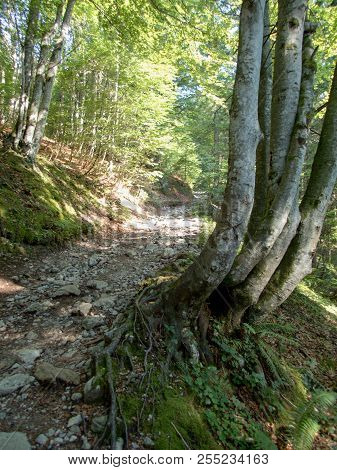 Hiking And Climbing In Wilder Kaiser