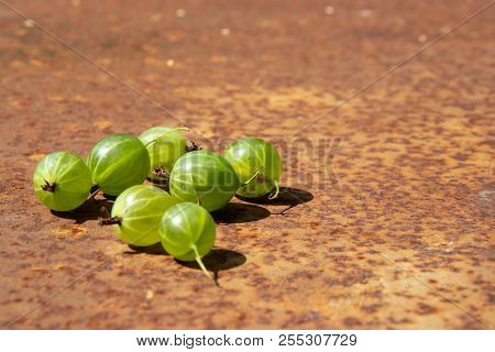 Some Fresh Gooseberry On Rusty Metal Surface Background In Sunlights