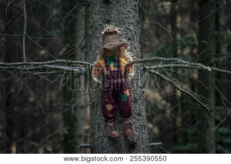 Shabby Doll, Stuffed With Hay, A Scarecrow, Sitting Between Two Branches Of A Tree Without Leaves, I