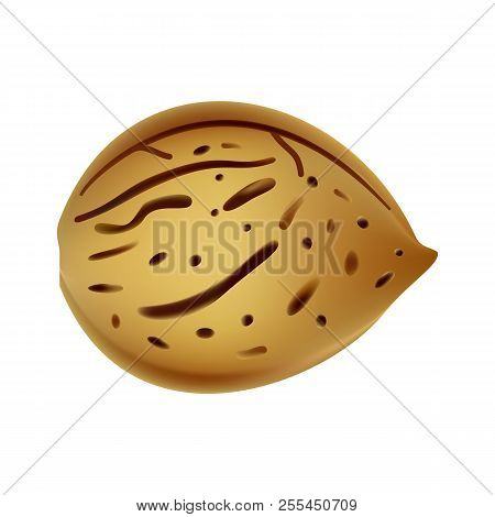 Peach Seed Mockup. Realistic Illustration Of Peach Seed Mockup For Web Design Isolated On White Back