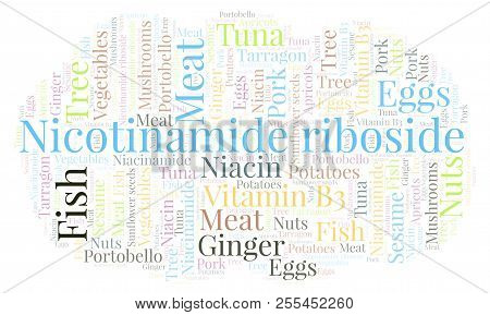 Niacinamide Riboside Word Cloud. Wordcloud Made With Text Only.