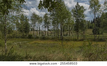 Studenec National Memory In Krusne Mountains In Summer Hot Day