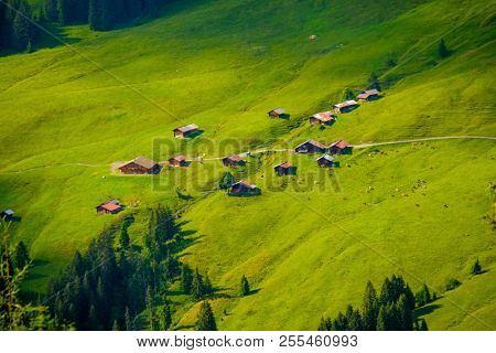 Summer landscape of Switzerland rural country side, near Habkern village