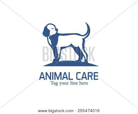Dog Care Logo - White Background Illustartion Design