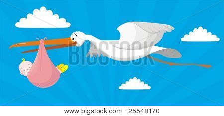 Storkene leverer en nyfødt