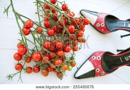 GOMEL, BELARUS - AUGUST 16, 2018: Versus (Versace) women's shoes. Versus (Versace) is the diffusion line of Italian luxury fashion house Versace.