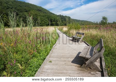 A Place To Rest On The Appalachian Trail On The Boardwalk In Pawling, Ny.
