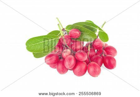 Carissa Carandas Linn,karanda, Carunda An Isolated On White