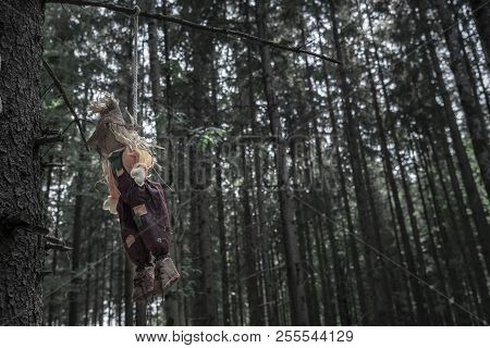 Halloween Context With A Shabby Scarecrow Hanged With A Rope From A Branch, In A Dark, Sinister Fore
