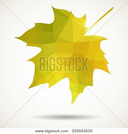 Maole Leaf In Triangular Style With Dropped Shadow.