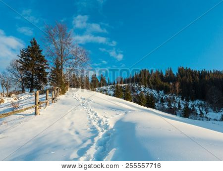 Winter Morning Scenery Picturesque Mountain Rural Snow Covered Path And Footprint (ukraine, Carpathi