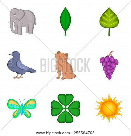 Animal Life Icons Set. Cartoon Set Of 9 Animal Life Icons For Web Isolated On White Background