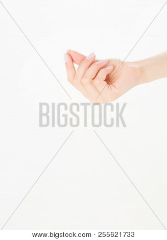 Female Hand Hold Something, Isolated On White, Woman's Palm Making Gesture While Showing Small Amoun