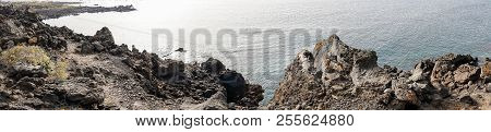 Non Classical View Of The Coast Of Lanzarote Formed Mostly By Cooled Lava During A Sunny Day. Here W