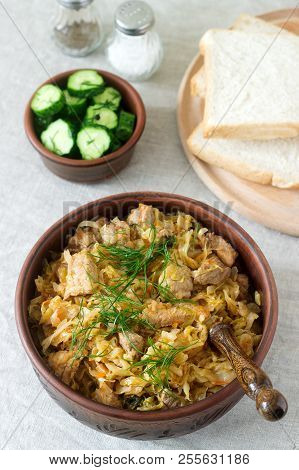 A Traditional Dish Of Some European Countries Is Bigos Made From Cabbage, Other Vegetables And Meat.