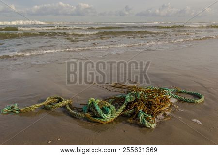 Plastic Rope Pollution Littering The Coastline Beach