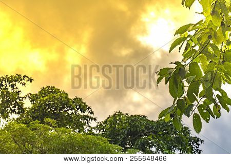 People Look At Views Of Beautiful Panorama Of Green Forest In The National Park
