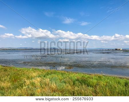 Beautiful Lake In The Summer Color Image Stock Photos