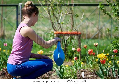 Caucasian Woman Watering Flowers With Water Can On A Croft.