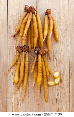 Group Of Fingerroot On Wooden Table From Above.