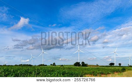 Windmills For Electric Power Production On Blue Sky At Huai Bong, Dan Khun Thot District, Nakhon Rat