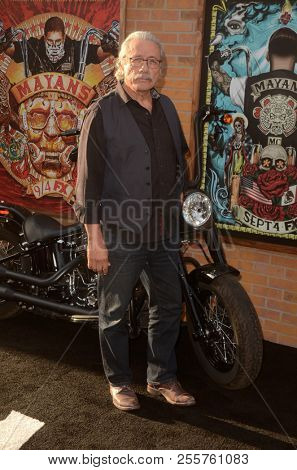 LOS ANGELES - AUG 28:  Edward James Olmos at the 