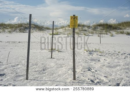 Beach Sea Turtle Nest With Sign Warning Beachgoers To Keep Out And Do Not Disturb. Footprints Shown 