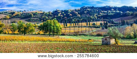 Idylic rural landscape in autumn colors. Tuscany countruside , Italy