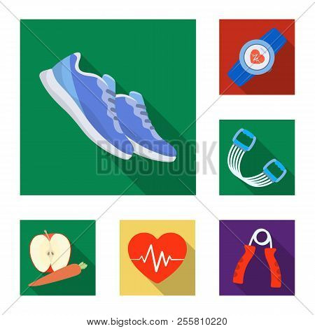 Gym And Training Flat Icons In Set Collection For Design. Gym And Equipment Vector Symbol Stock Web 