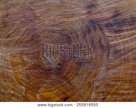 Cross Section Of Tree Stump Showing Marks Left By Chainsaw