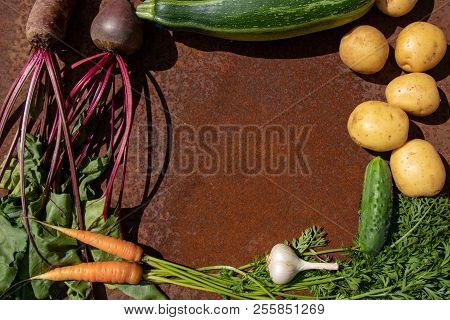 Raw Fresh Vegetables From New Harvest Make Frame On Rusty Melallic Surface Background In Sunlights
