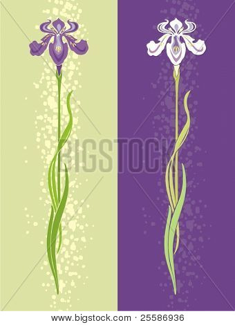 Kaksi muunnelmaa design vector tyylitelty iris
