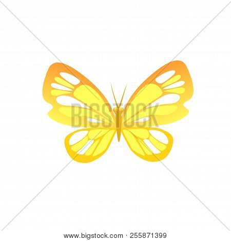 Beautiful Butterfly Isolated. Insect Icon. Vector Illustration