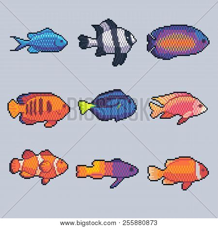 Pixel Art Vector Tropical Fish Icons Set.