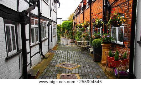 Narrow Street With Flowers In England. Winter
