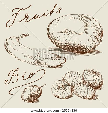 mão desenhadas frutas
