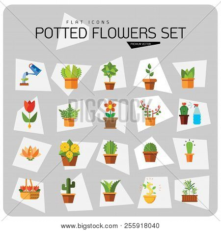 Potted Flowers Icon Set. Money Tree Cactus In Pot Cactus And Spray Bottle Plant Blooming Flower Chin
