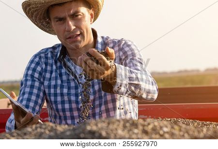 Handsome Farmer With Straw Hat Holding Tablet And Sunflower Seeds In Other Hand In Trailer Full Of G