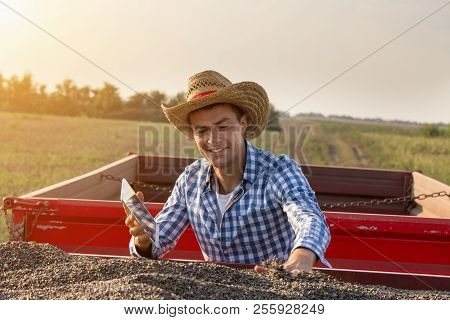 Happy Farmer Sitting In Trailer Full Of Sunflower Seeds