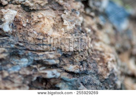 Close-up Of Rocks, Salt And Minerals. Shallow Depth Of Field.