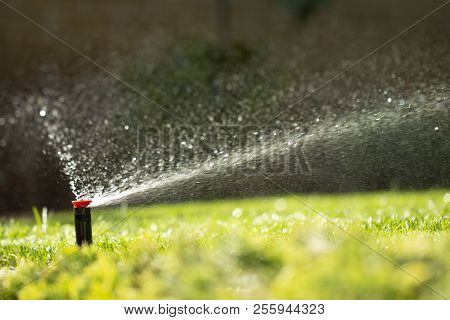 Automatic Sprinkler System Watering The Lawn On A Background Of Green Grass