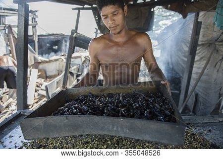 Maceio, Alagoas, Brazil - June 21, 2016:  Man Sieving And Cleaning Clams