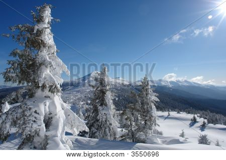 Frostklare