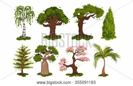 Green Deciduous Trees With Exuberant Tree Crown Vector Set