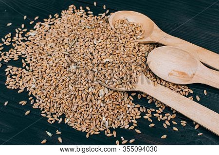 Agriculture. Wheat Grains On A Dark Wooden Table