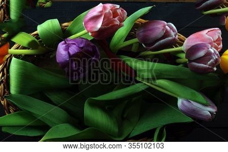 Bouquet With Tulips Lies In A Wicker Basket