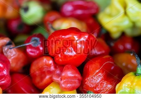 Close Up Of A Pile Of Scotch Bonnet Peppers, In A Variety Of Colours, On A Uk Market Stall
