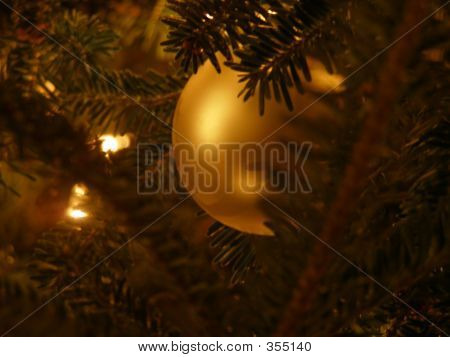 Chistmas มณี