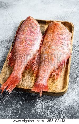 Raw Red Sea Bass. Gray Background. Top View