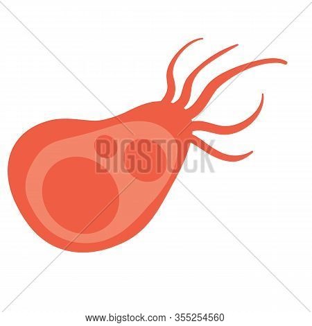 Different Kinds Vector Photo Free Trial Bigstock